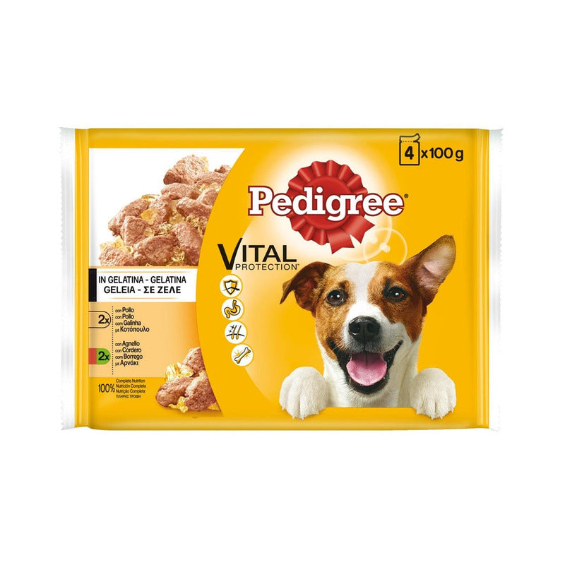 perro gelatina carn multipack 12x100gr