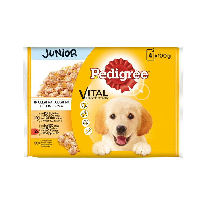 perro junior pollo sobre 4x100gr Imagen principal del producto