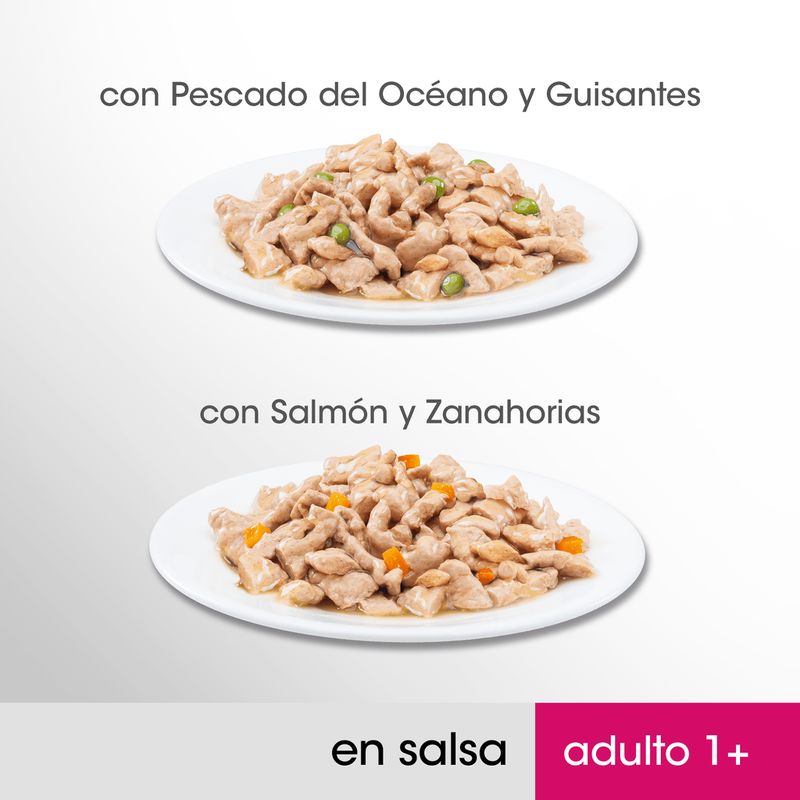 gato pescado y verduras 4x85gr
