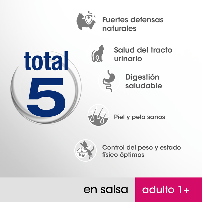 gato pescado y verduras 4x85gr