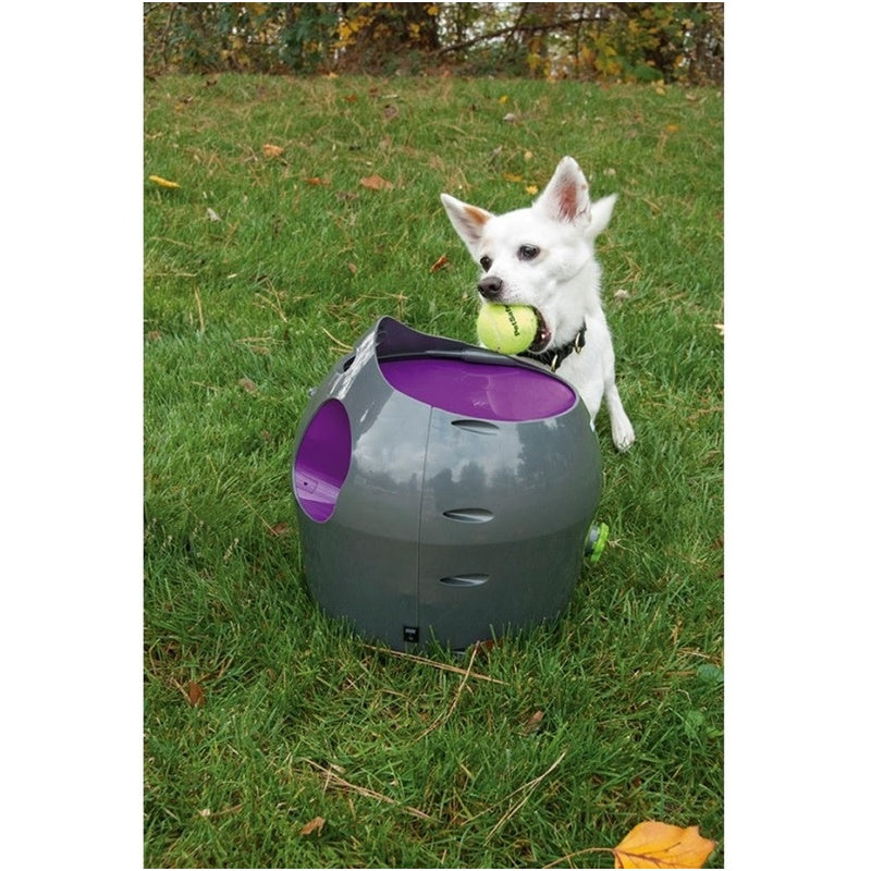 lanzador automático de pelotas