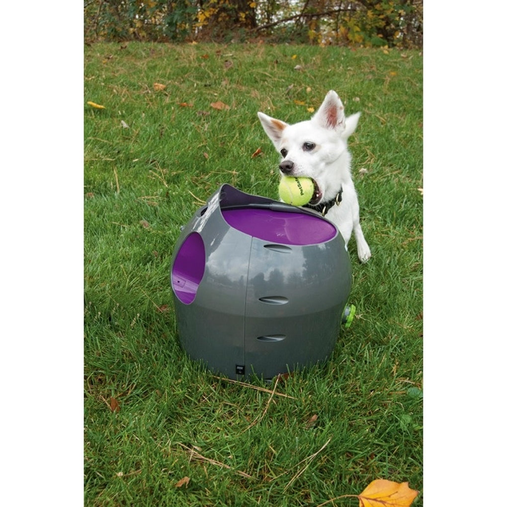 lanzador automátic de pilotes