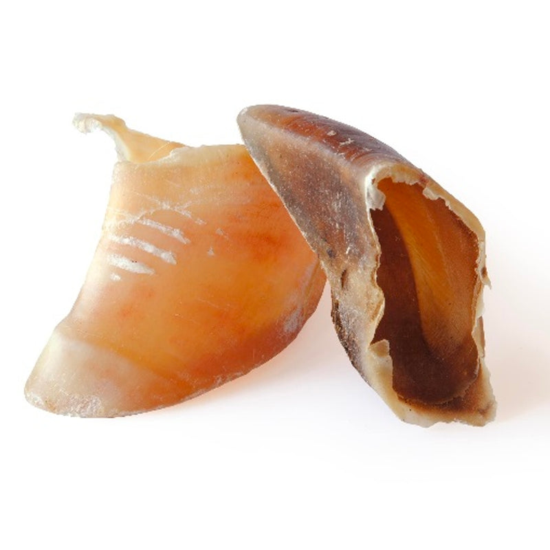 pezuña de vaca Imatge principal del producte