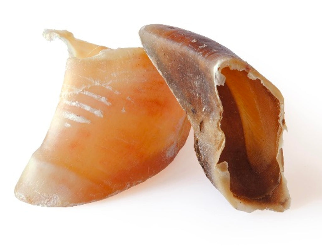 pezuña de vaca