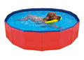 piscina per a gossos