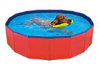 piscina per a gossos