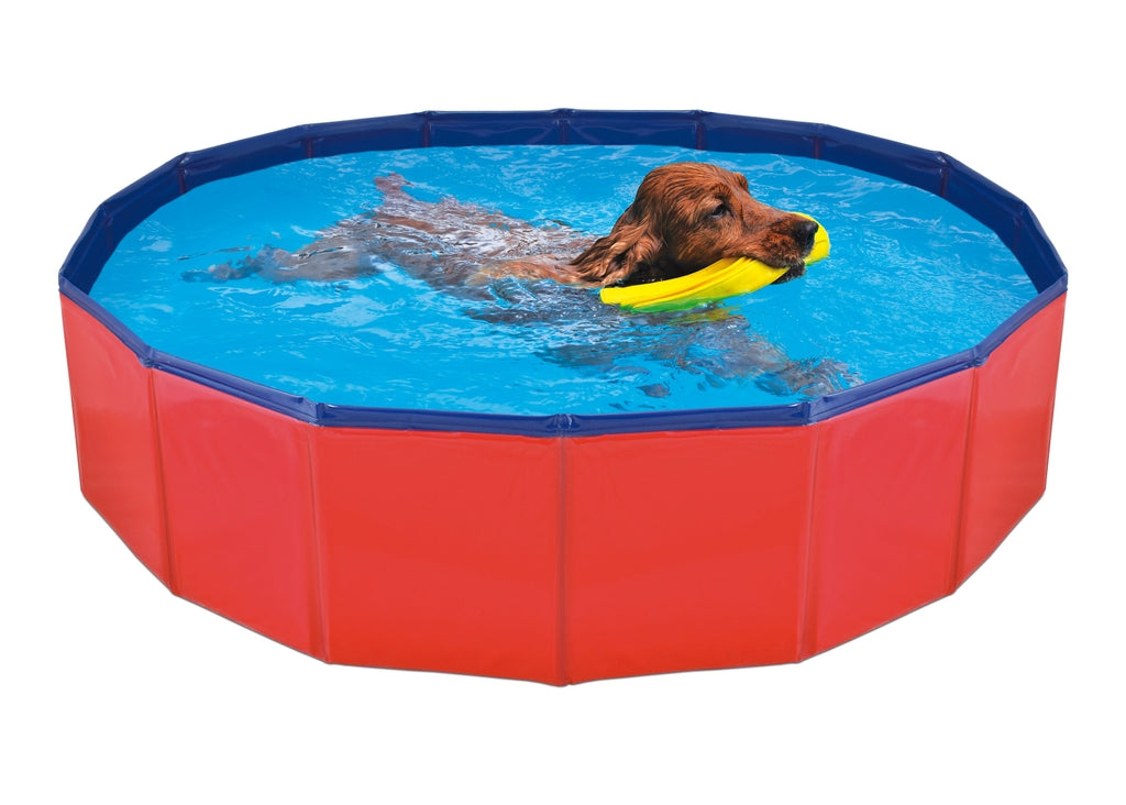 piscina per a gossos