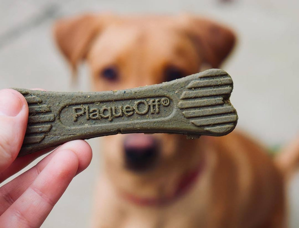 Plaque off bones bacon 485 g
