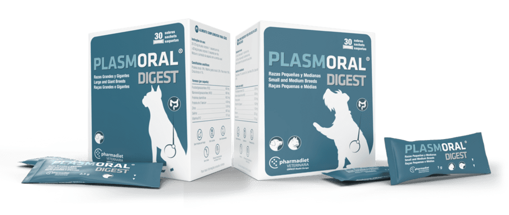 Plasmoral digest (1sobre)