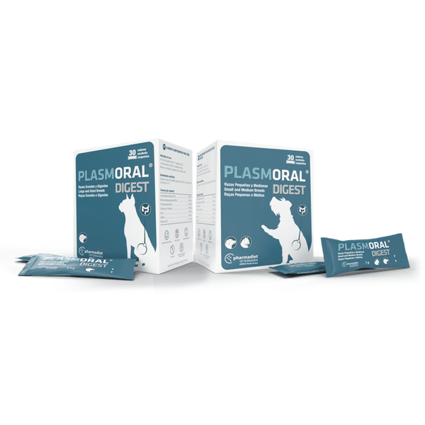 Plasmoral digest (1sobre)