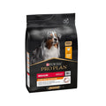 Pro Plan Medium Everyday con pollo pienso para perros