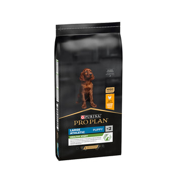 Pro Plan Puppy Large Athletic con pollo pienso para perros