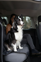 Protector negre Kia per a asiento trasero del cotxe
