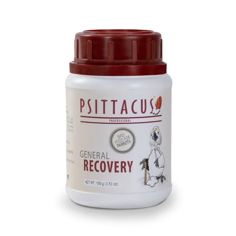 general recovery 100 g Imatge principal del producte