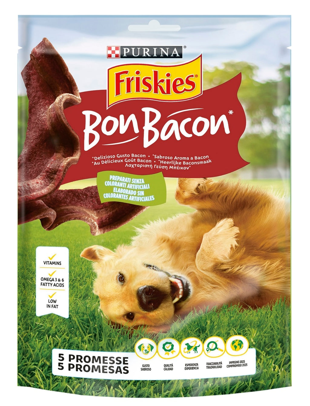 perro Bon Bacon