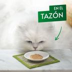 gato nature's puree salmón 5x10gr