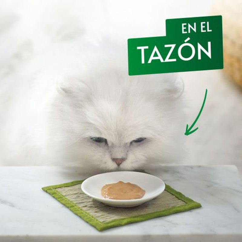 gato nature's puree buey 5x10gr