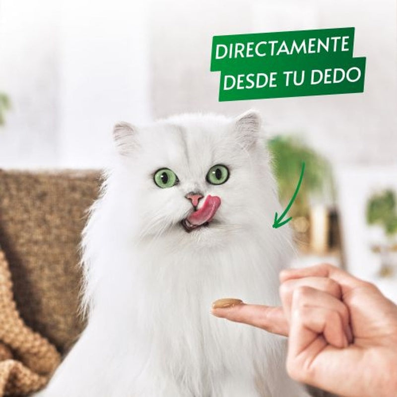 gato nature's puree buey 5x10gr
