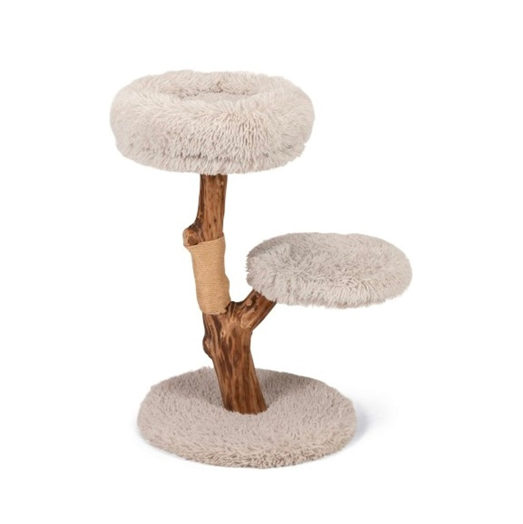 rascador arbol zor 50X50X72cm Imatge principal del producte