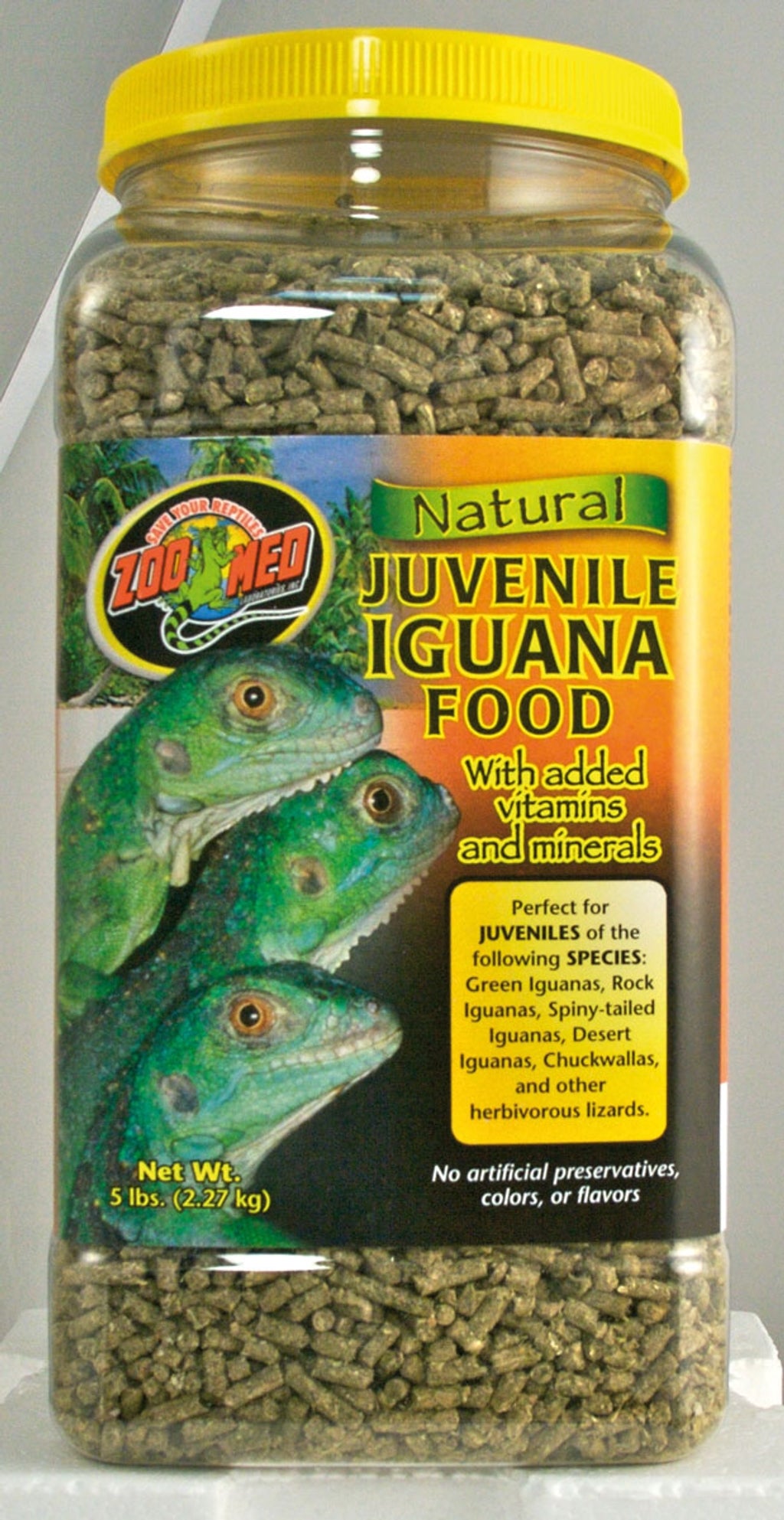 Zoomed Iguana junior Imagen secundaria del producto