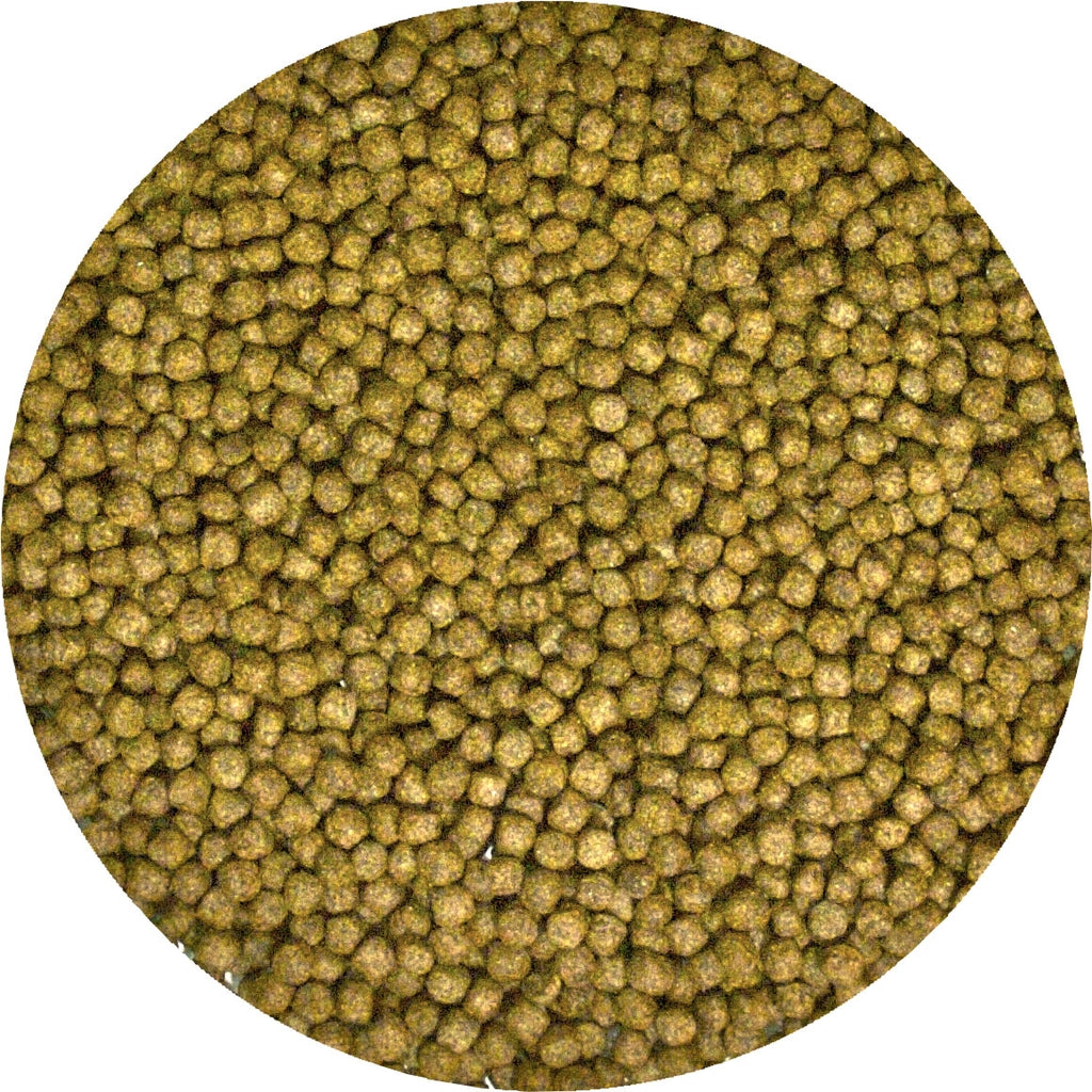 tortuga d'aigua creixement (5-15 cm) 1,53 kg