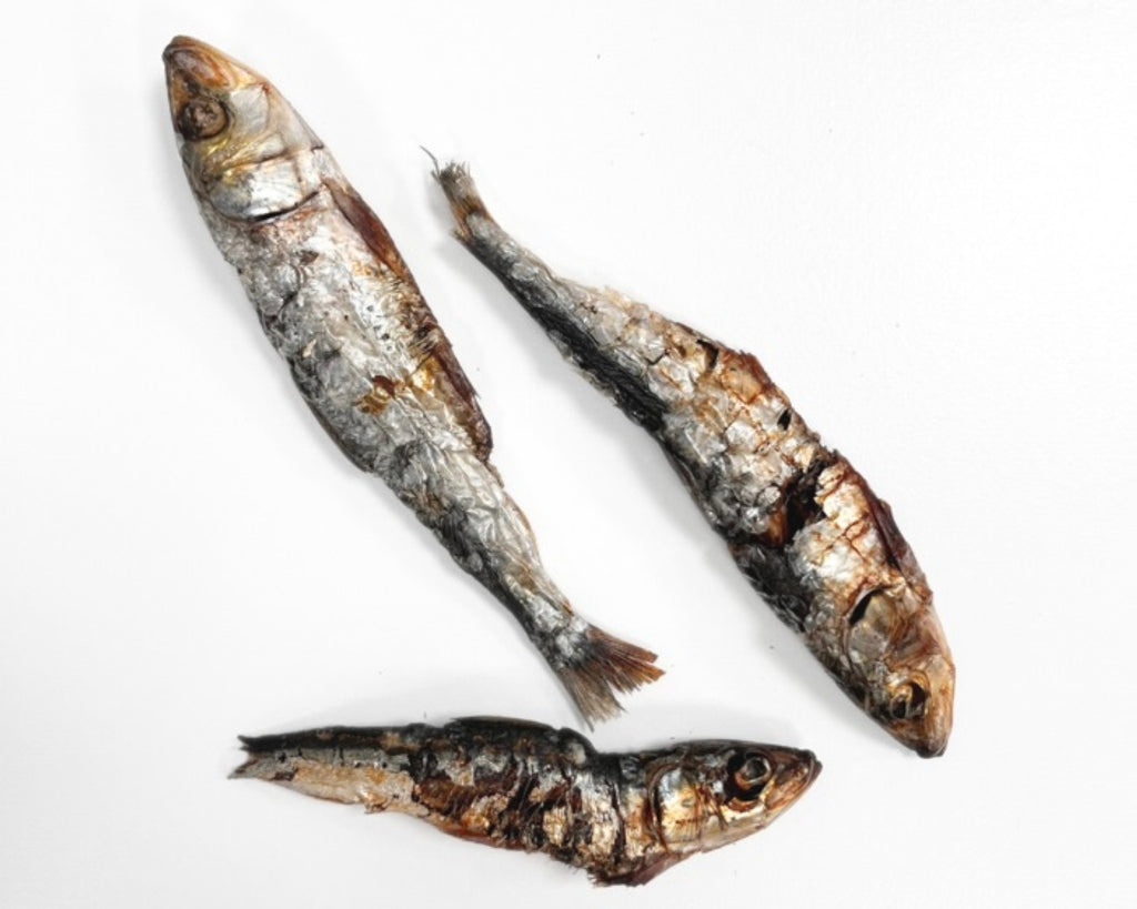 sardina deshidratada Imagen principal del producto