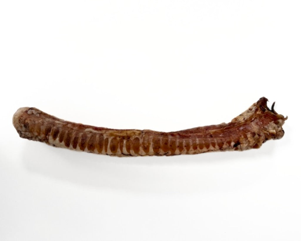 tráquea de vedella deshidratada XL
