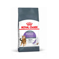 Royal Canin Appetite Control pienso para gatos