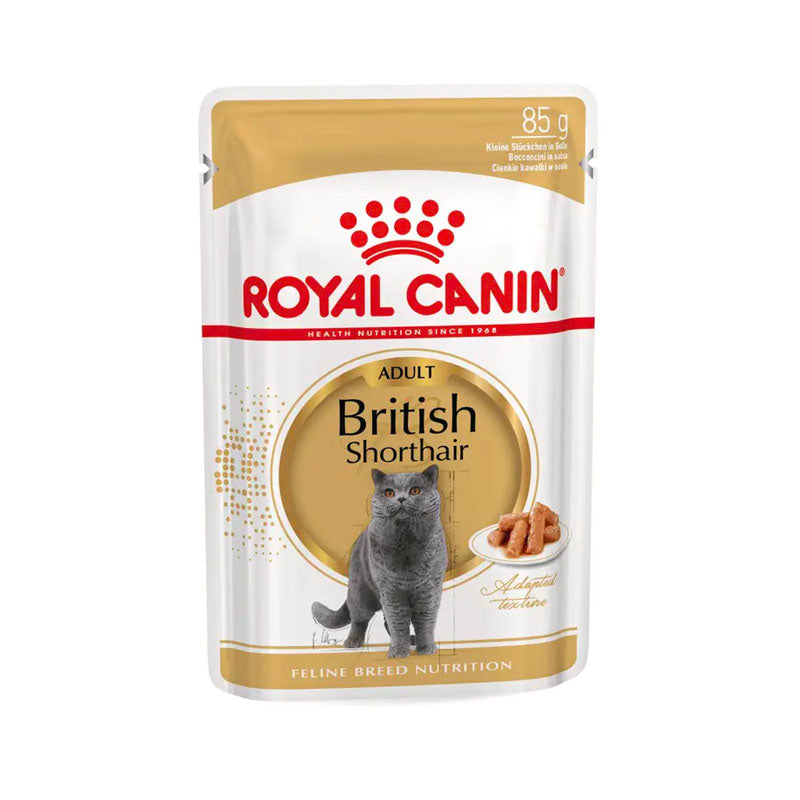 Royal Canin British Shorthair Pouch per a gats Imatge principal del producte