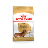 Royal Canin Dachshund Teckel pinso per a gossos