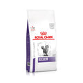 Royal Canin Dental pinso per a gats