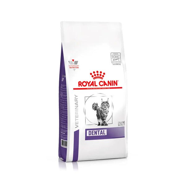 Royal Canin Dental pinso per a gats