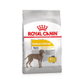 Royal Canin Dermacomfort Maxi pienso para perros