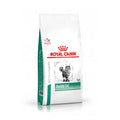 Royal Canin Diabetic pienso para gatos