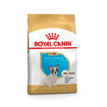 Royal Canin Bulldog Francés Puppy pienso para perros