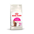 Royal Canin Fussy pinso per a gats