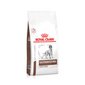 Royal Canin Gastrointestinal High Fibre pinso per a gossos