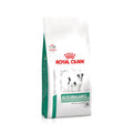 Royal Canin Glycobalance Small pinso per a gossos