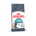Royal Canin Hairball Care pinso per a gats