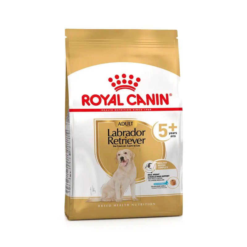 Royal Canin Labrador Retriever 5+ pienso para perros