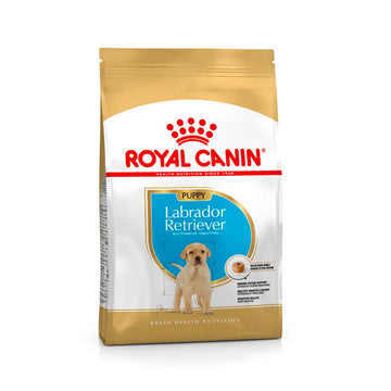 Royal Canin Labrador Retriever Puppy pinso per a cadells