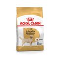 Royal Canin Labrador Retriever pinso per a gossos