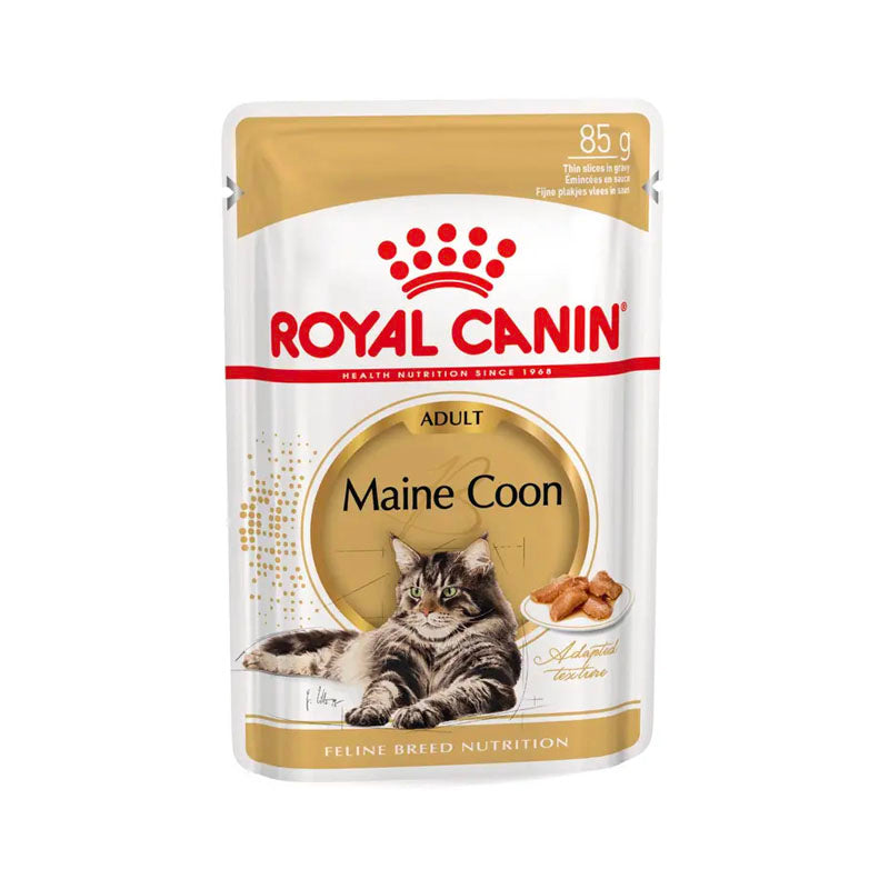 Royal Canin Maine Coon Pouch per a gats Imatge principal del producte