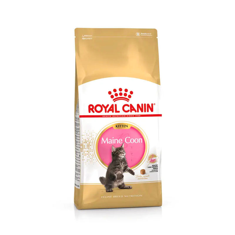 Royal Canin Maine Coon Kitten pienso para gatitos Imagen principal del producto