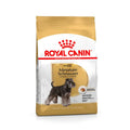 Royal Canin Miniature Schnauzer pienso para perros