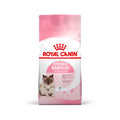 Royal Canin Mother & Babycat pienso para gatos