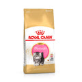 Royal Canin Persian Kitten pinso per a gatets