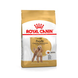 Royal Canin Poodle Caniche pienso para perros