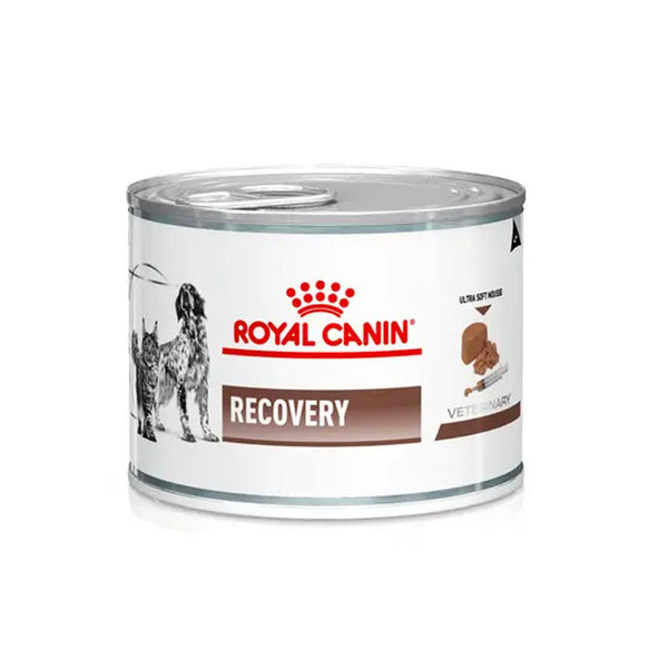 Royal Canin Recovery lata para perros y gatos