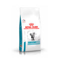 Royal Canin Skin & Coat pienso para gatos